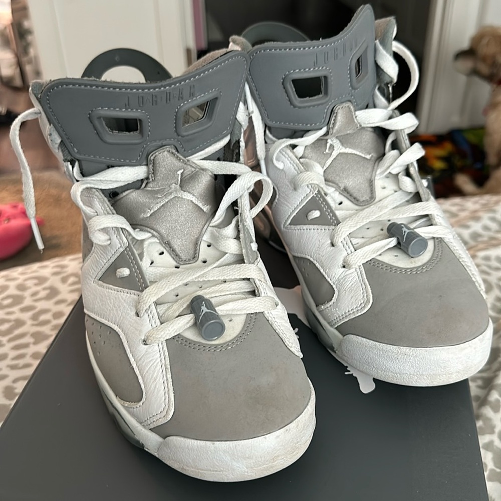 Jordan Retro 6